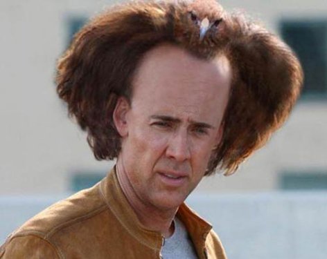 Related picture! Nicolas-cage-hair-is-a-bird
